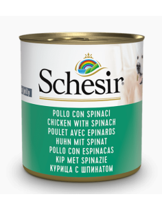 Schesir cane - linea 285G -...