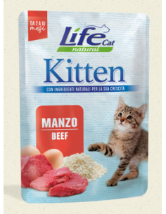 LIFE gatto - Kitten manzo...
