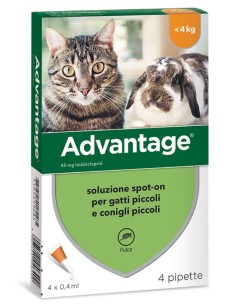ELANCO - Advantage gatto -...