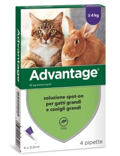 ELANCO - Advantage gatto -...