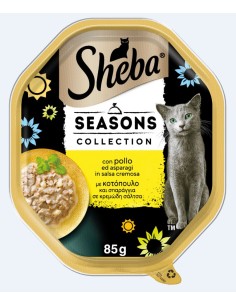 Sheba gatto - Creazioni...