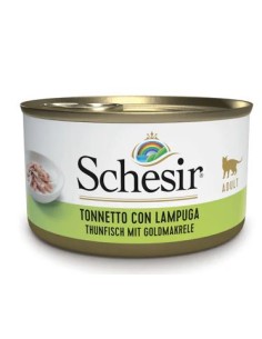 Schesir gatto - tonnetto...