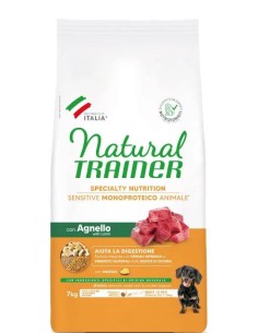 Natural Trainer cane linea...