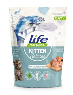 LIFE gatto - Kitten salmone...