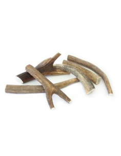 Ferribiella cane - Linea...