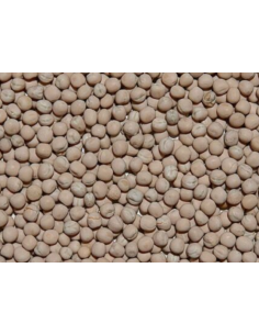 Pisello giallo 20 kg.