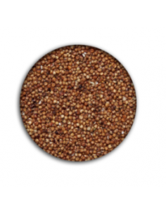 Sorgo rosso ventilato 20 kg.