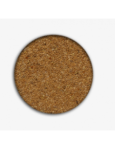 Miglio giallo 25 kg.