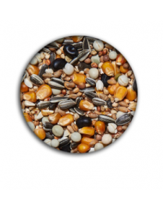 Misto colombi muta 20 kg.