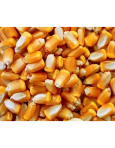 Mais ibisco ventilato 25 kg.