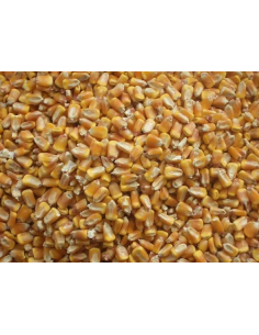 Mais nazionale ventilato 25...