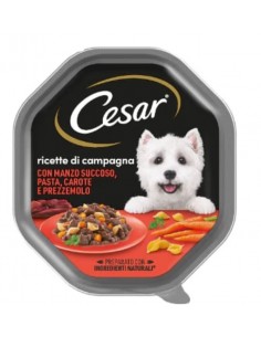 Cesar cane - ricette di...
