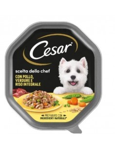 Cesar cane - scelta dello...