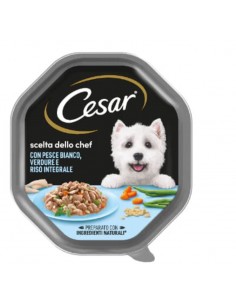 Cesar cane - scelta dello...