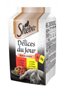 Sheba gatto - Delices du...