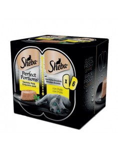 Sheba gatto - Perfect...