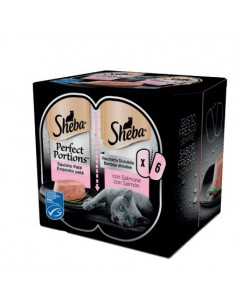 Sheba gatto - Perfect...