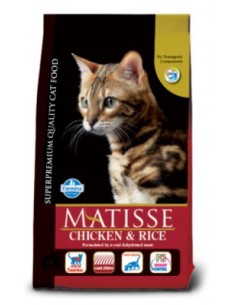 Matisse gatto - pollo e...