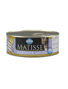 Matisse gatto - mousse...