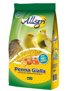 Allegri' - Penna Gialla 400...