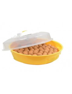 Incubatrice manuale per 50...