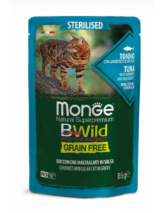 Monge - Bewild gatto -...
