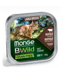 Monge - Bewild gatto -...