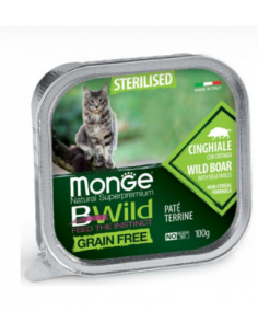 Monge - Bewild gatto -...