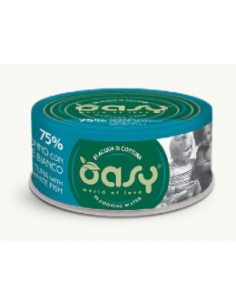 Oasy gatto - linea More...