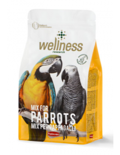 Padovan - Wellness...