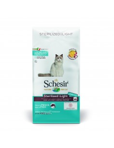 Schesir gatto - linea...