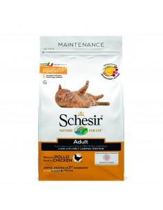 Schesir gatto - dry...