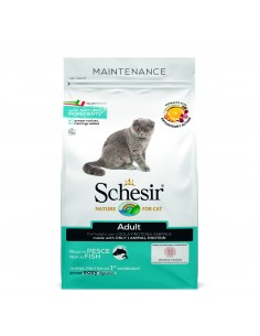 Schesir gatto - linea...