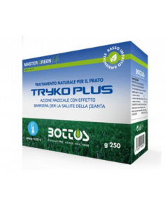 BOTTOS - Trattamento...