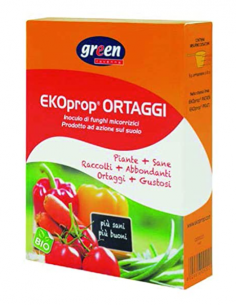 GREEN RAVENNA - EKOPROP...