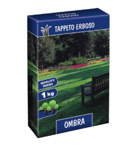 CONTINENTAL SEMENCES -...