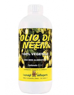 I CONSIGLI DELL'ESPERTO -...