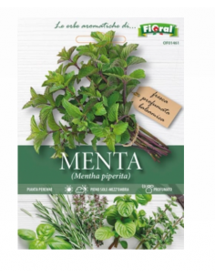 L'ORTOLANO - Linea...