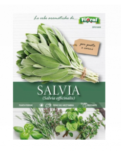 L'ORTOLANO - Linea...