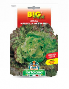 L'ORTOLANO - Linea BIG PACK...