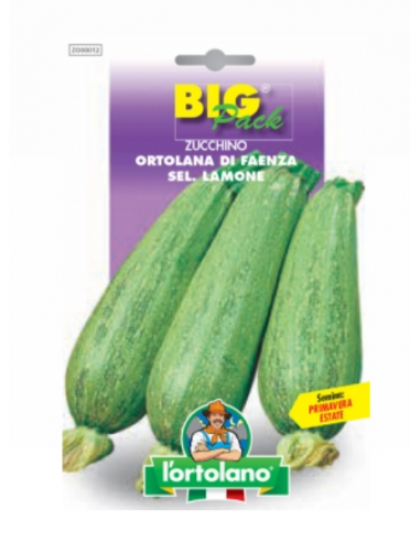 L'ORTOLANO - Linea BIG PACK -... L'ORTOLANO - Linea BIG PACK -...