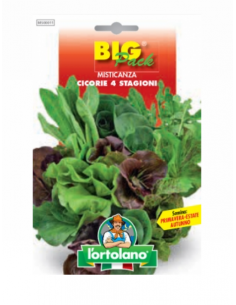L'ORTOLANO - Linea BIG PACK...