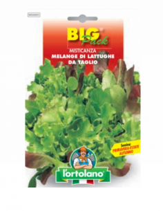 L'ORTOLANO - Linea BIG PACK...