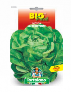 L'ORTOLANO - Linea BIG PACK...