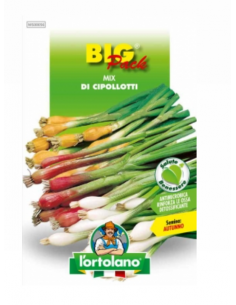 L'ORTOLANO - Linea BIG PACK...