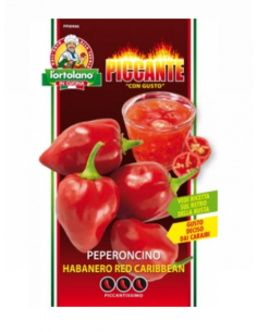 L'ORTOLANO - Linea buste...