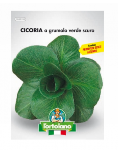 L'ORTOLANO - Linea buste...