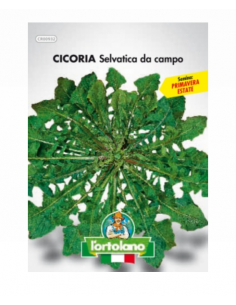 L'ORTOLANO - Linea buste...