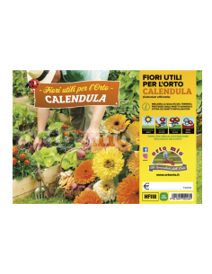 ORTO MIO - FIORI UTILI PER...