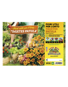 ORTO MIO - FIORI UTILI PER...